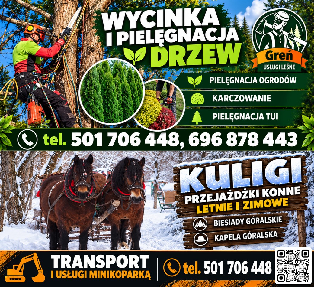 Pielęgnacja drzew SKOCZÓW
